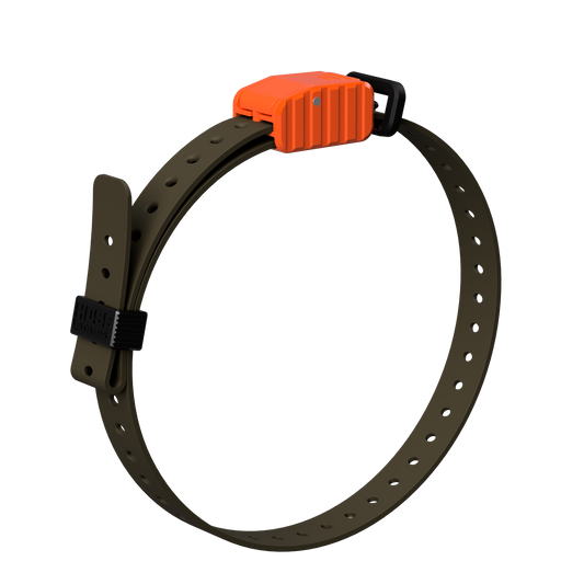 Hoss Straps 3/4" Replacement E-Collar Strap - olive with orange buckle example, product view