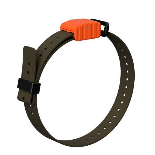 Hoss Straps 1" Replacement E-Collar Strap - olive with orange buckle example, product view