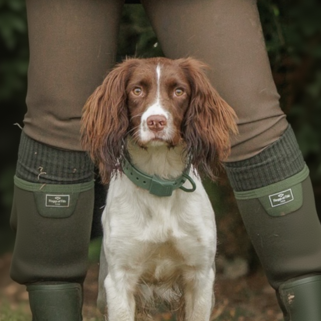 Dog wearing a green Hoss collar beside its handler