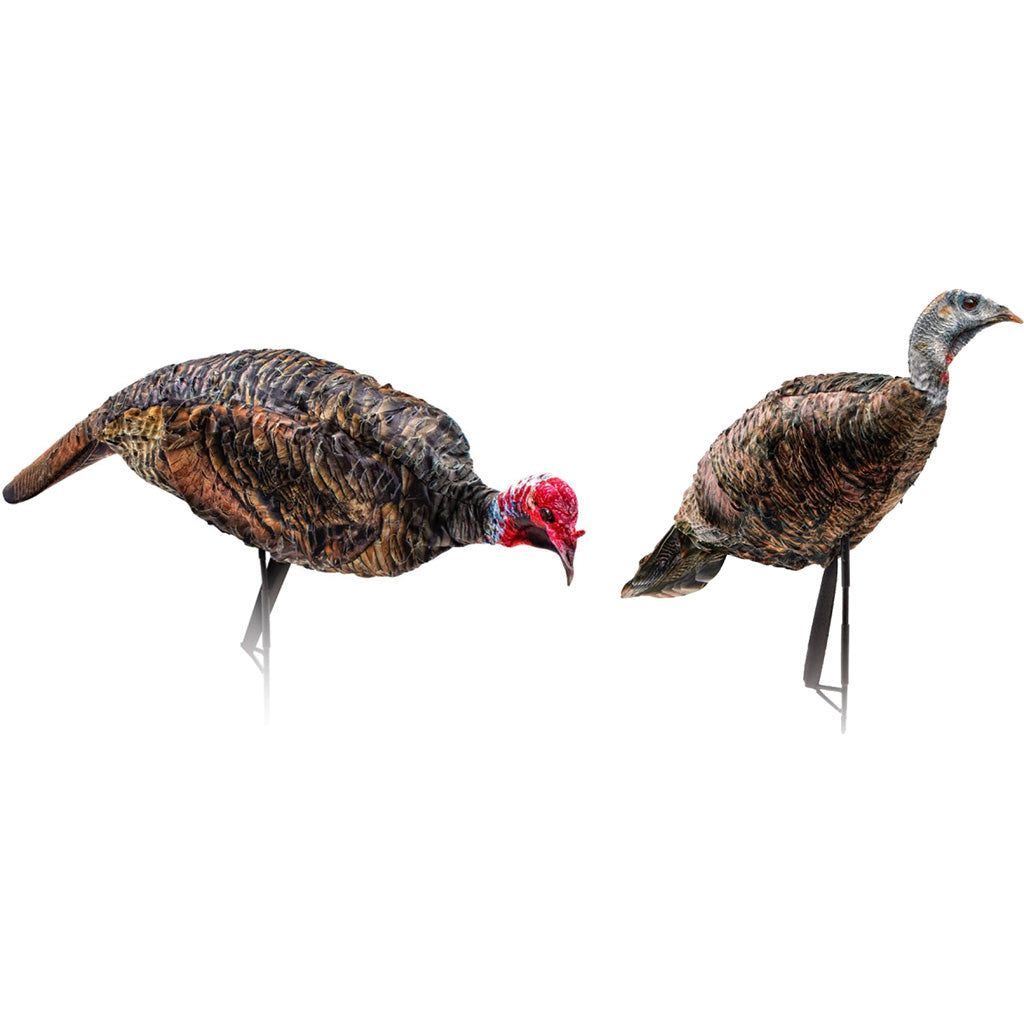 Montana Decoy Purr-Fect Pair XD3 Turkey Decoy Combo