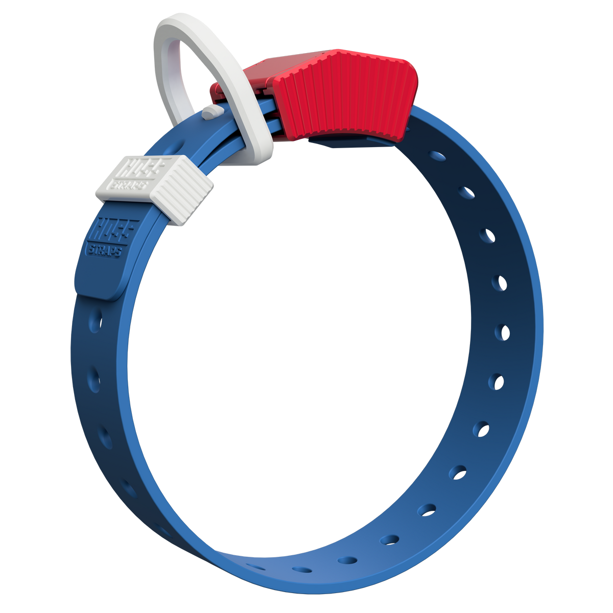 Hoss Straps FIELD COLLAR - blue with red buckle and white loop example, product view