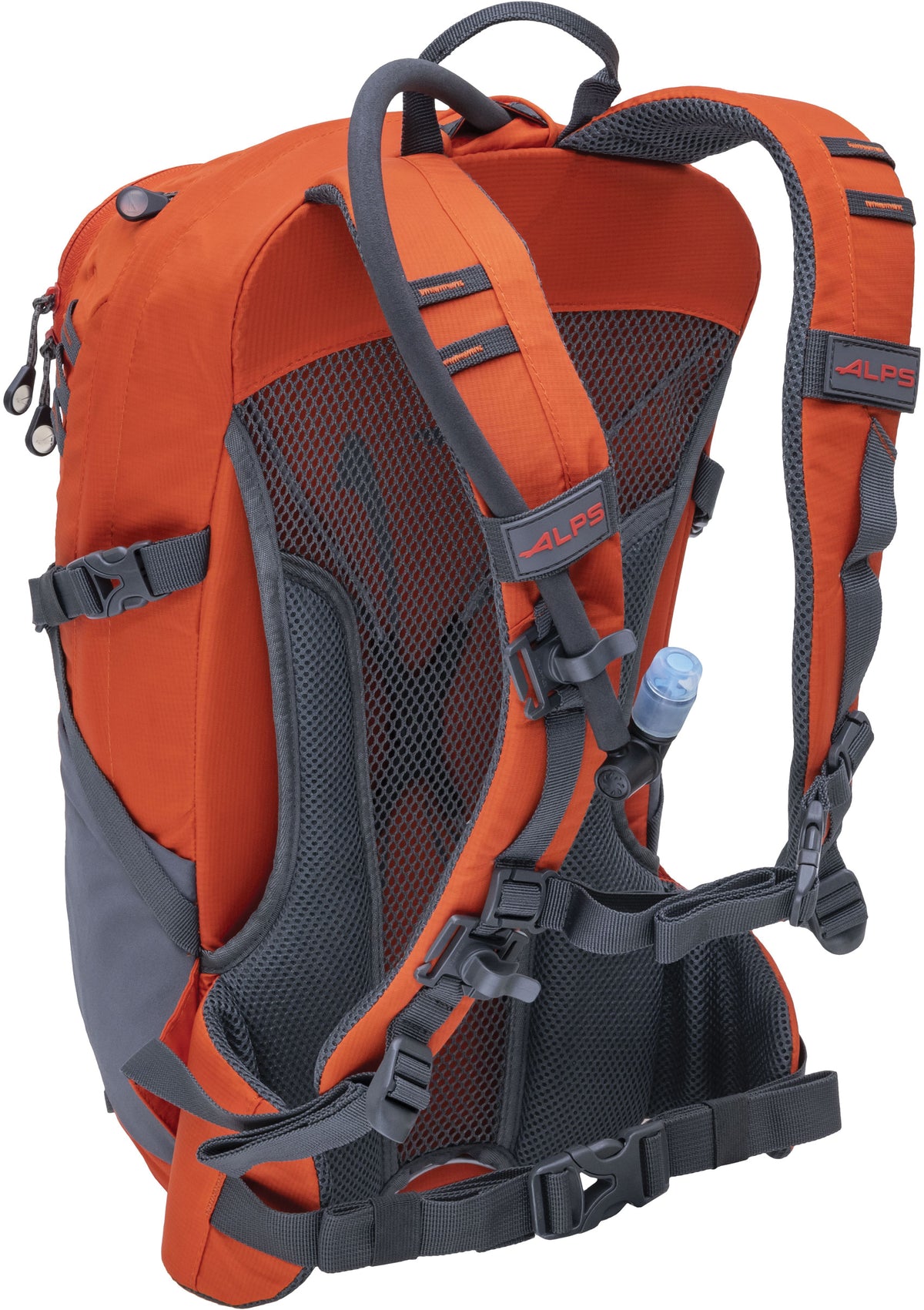 ALPS Mountaineering Hydro Trail 17L pack in Chili, rear view showing mesh back panel and shoulder straps