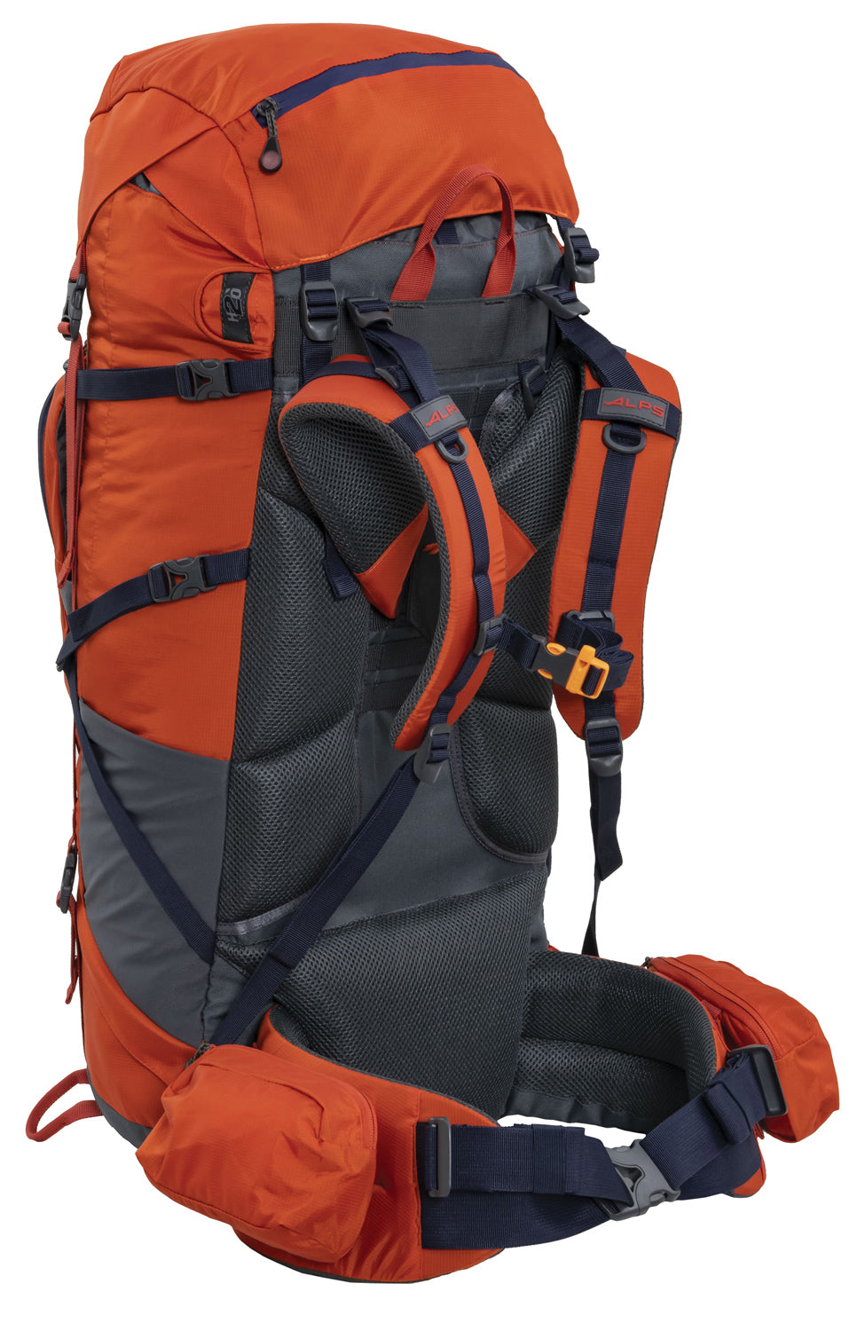 Chili Red Tail 65L pack, angled rear view showing the padded harness and waist belt