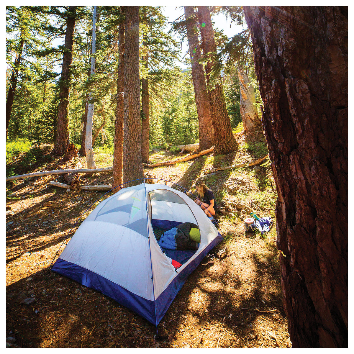 ALPS Mountaineering Lynx 2-Person Tent product image