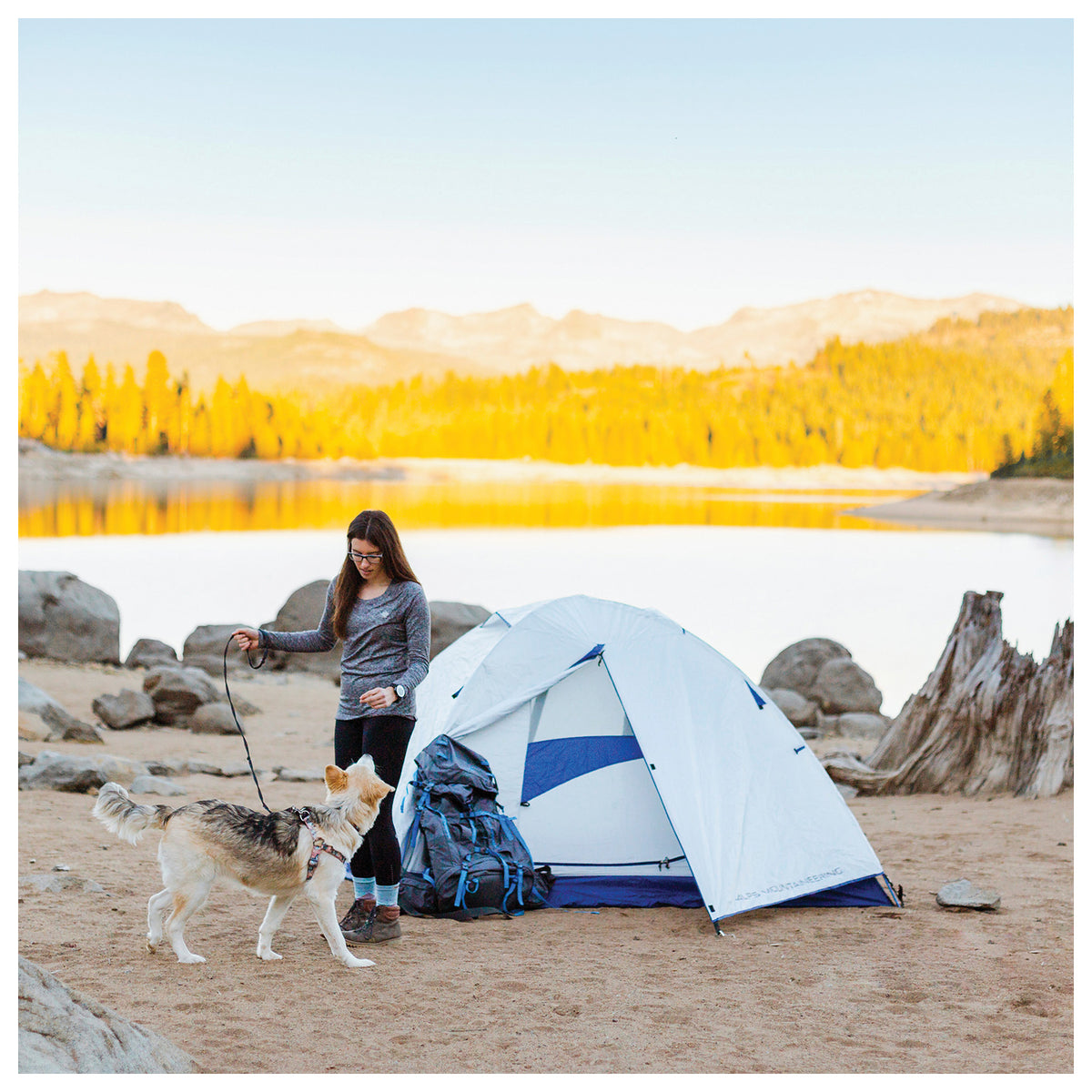 ALPS Mountaineering Lynx 2-Person Tent product image