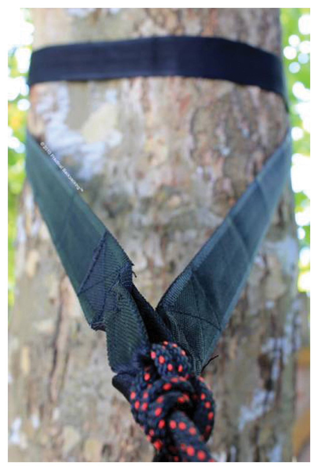 Hammock Bliss Standard Tree Straps