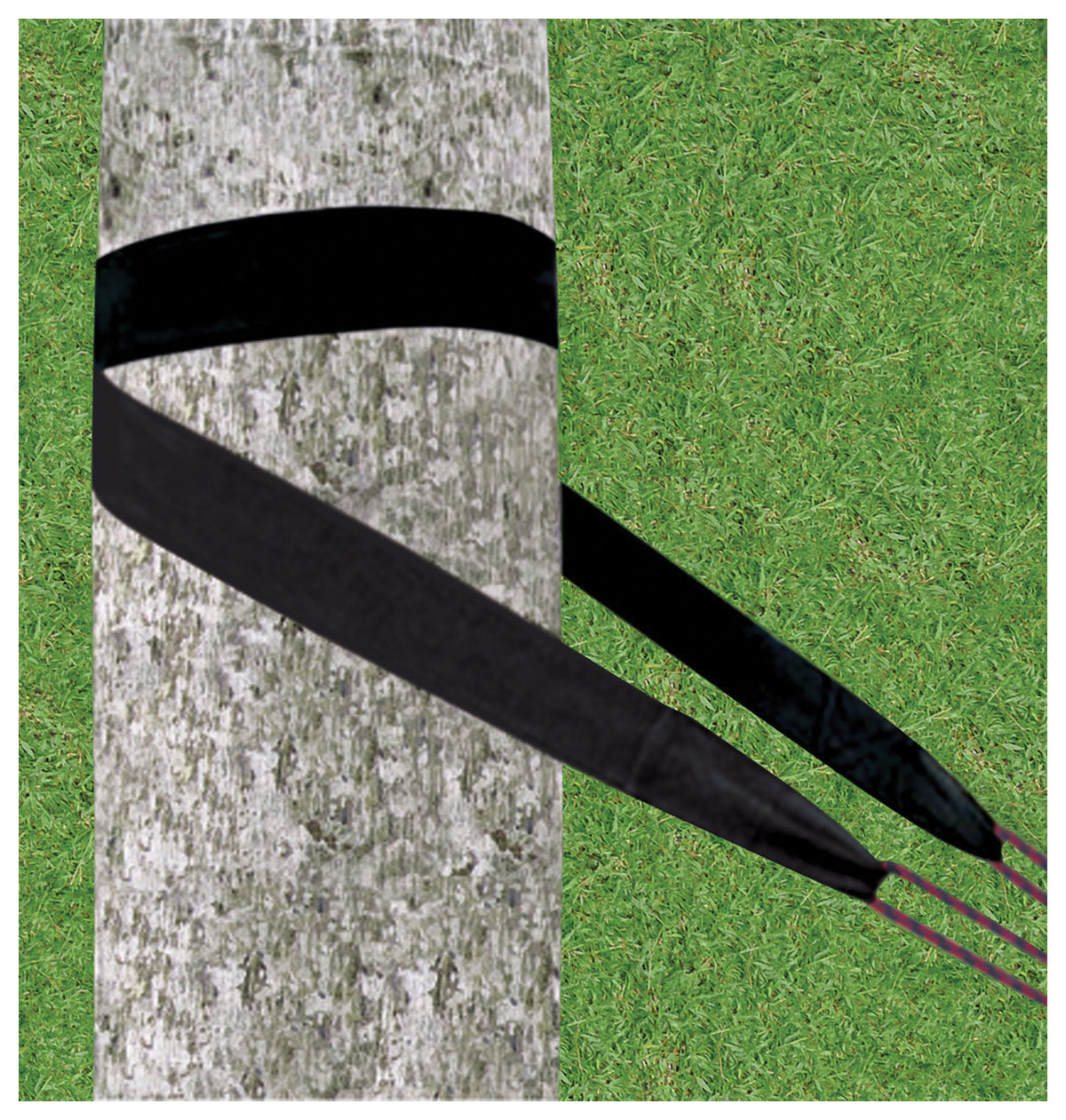 Hammock Bliss Standard Tree Straps