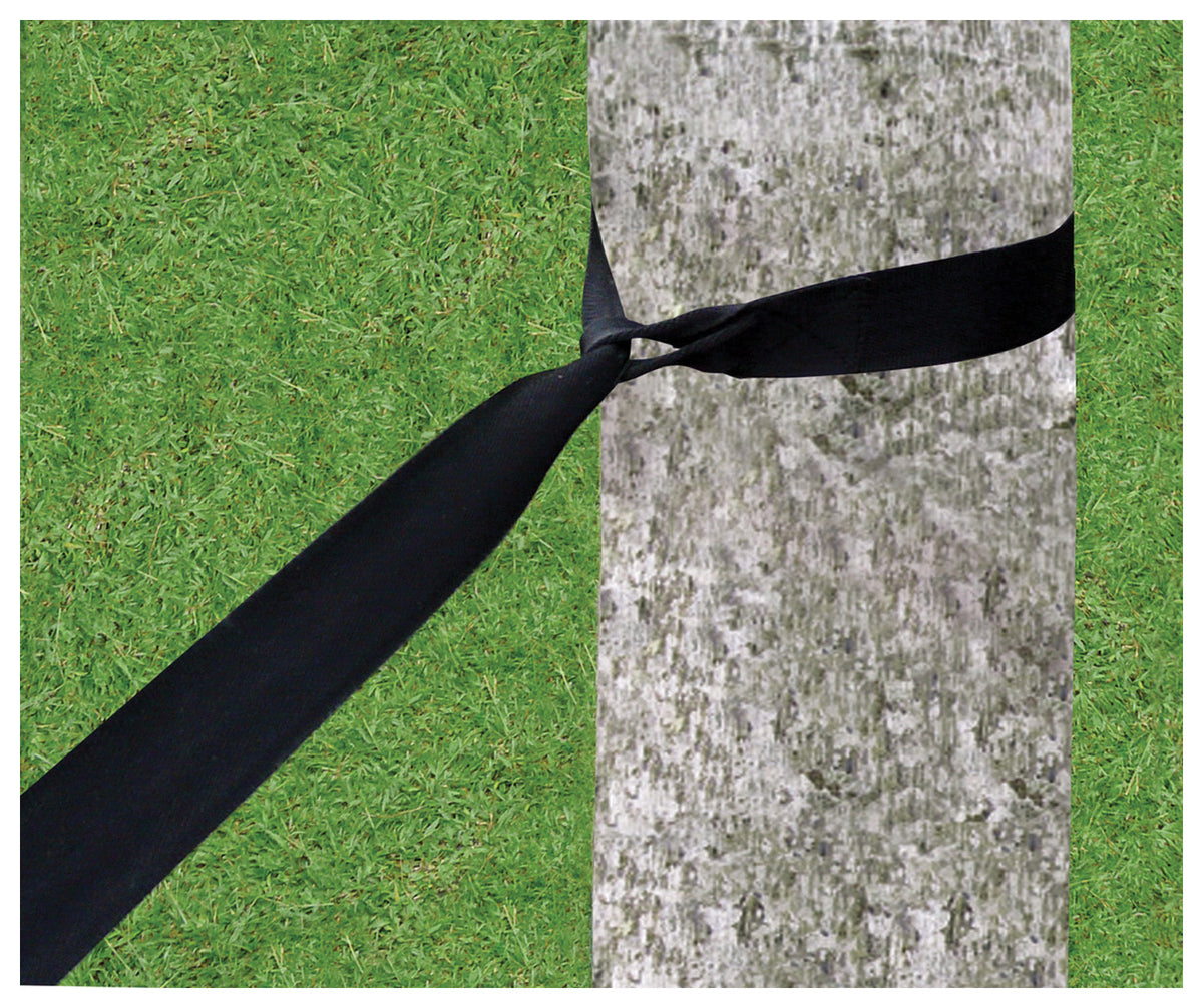 Hammock Bliss Standard Tree Straps