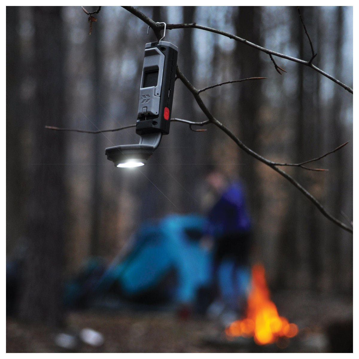 STKR FLEXIT Pocket Light 4.0 hanging from a branch and lighting a campsite