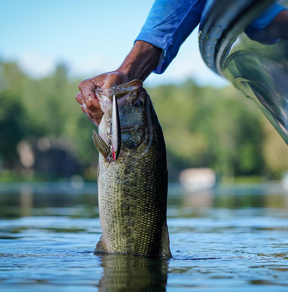 Angler holding a fish caught on a Rapala lure