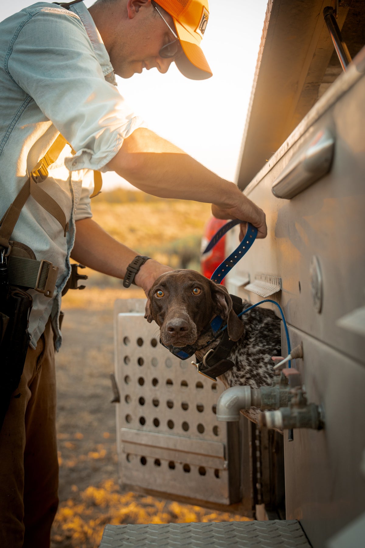 Handler fitting a collar on a dog beside a vehicle
