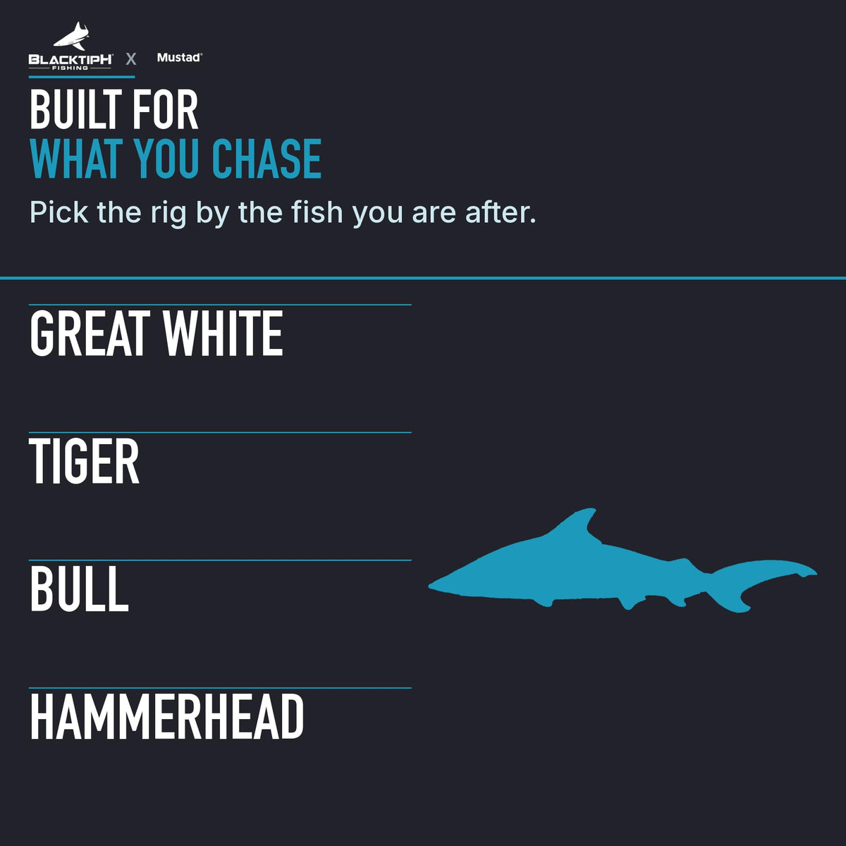 Mustad BlacktipH Monster Shark Rig application graphic