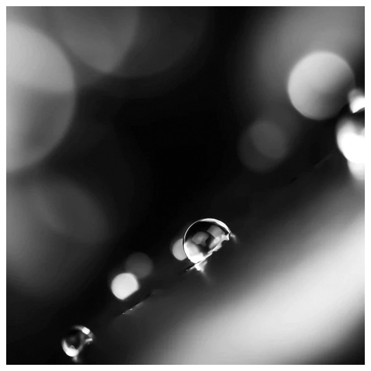 Black-and-white close-up of water droplets on dark fabric