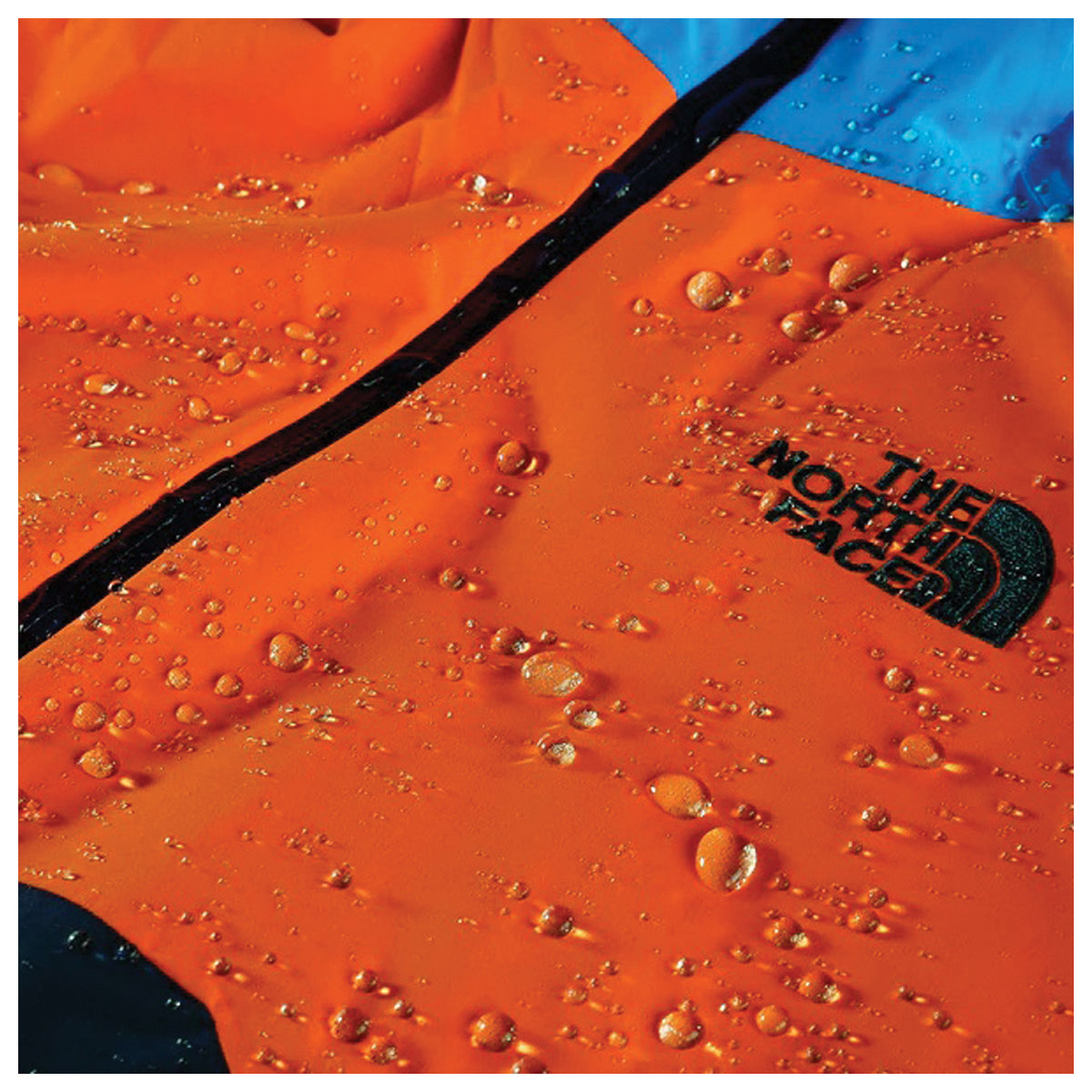 Close-up of water droplets on an orange and blue jacket