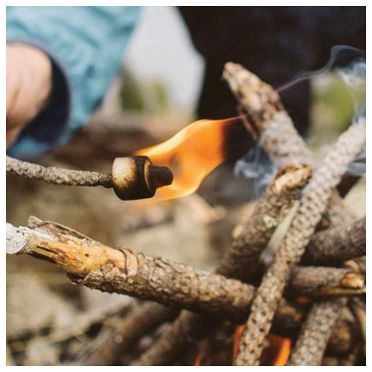 Burning Zippo Easy Spark Tinder on a branch above kindling