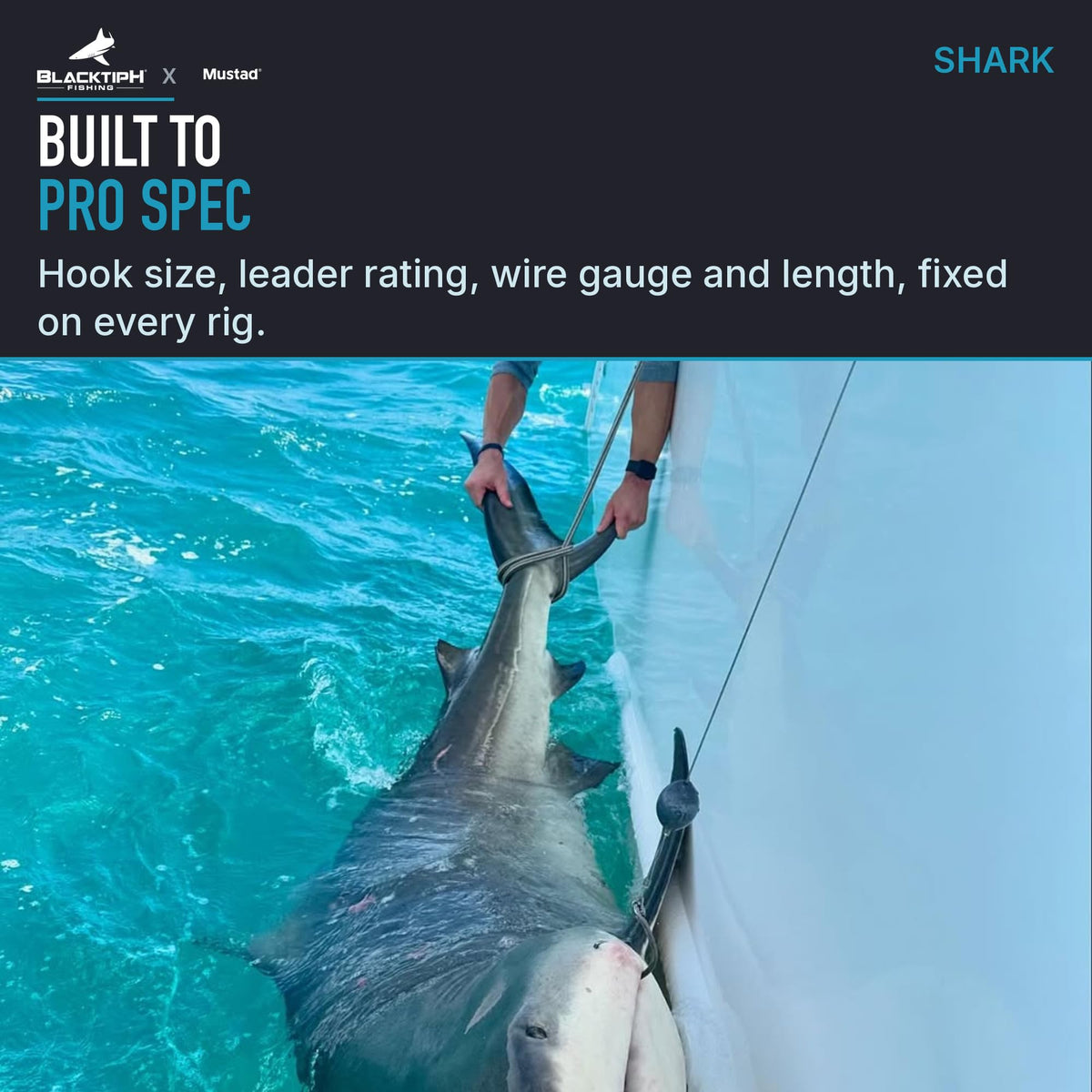 Mustad Monster Shark Rig feature graphic with a shark beside a boat