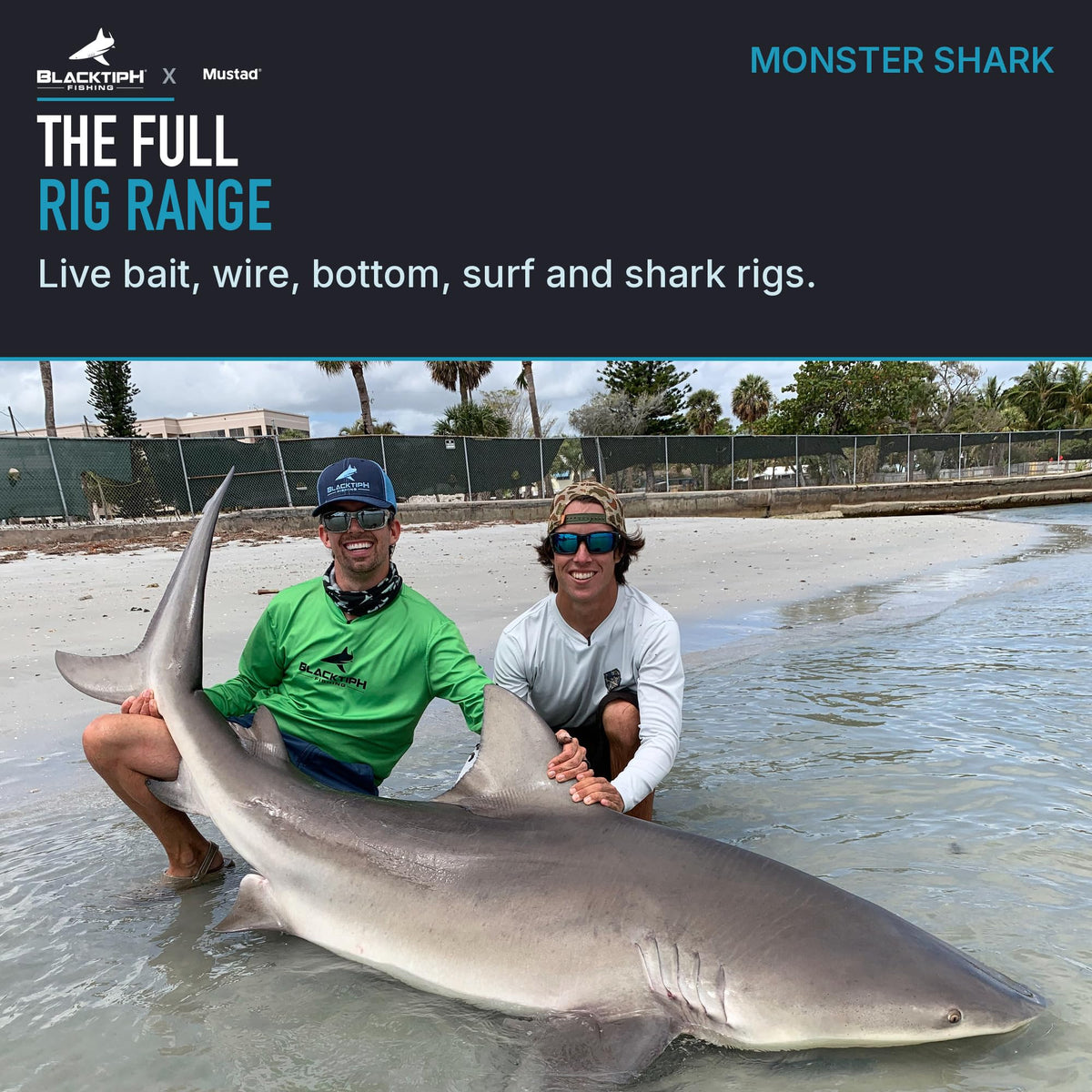 Mustad Monster Shark Rig range graphic with anglers and a shark