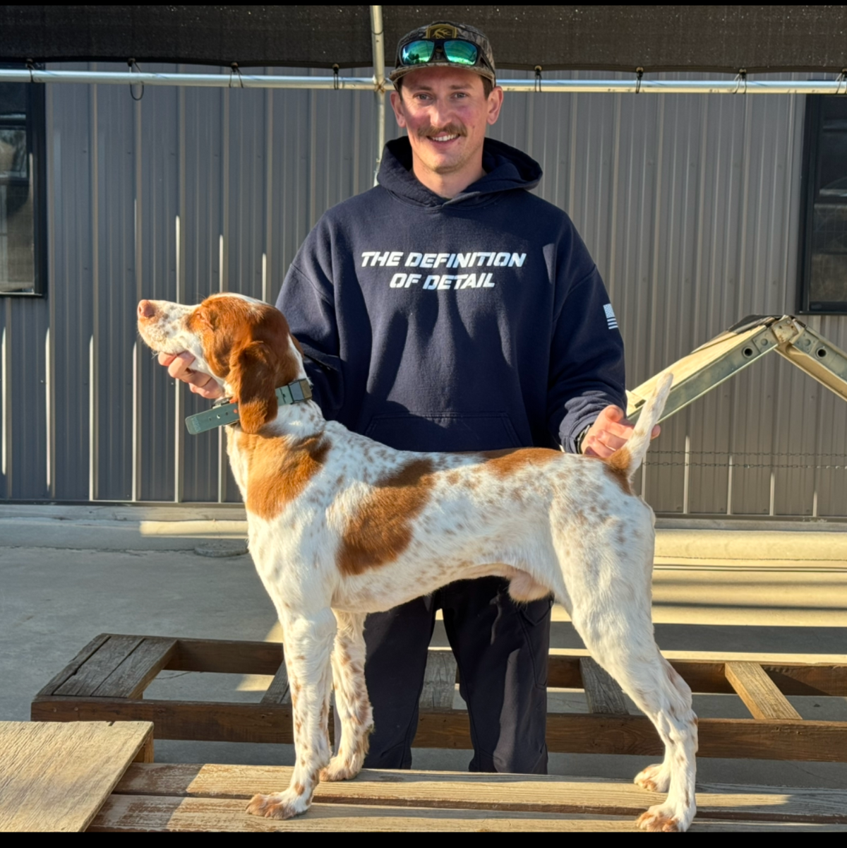 Handler standing beside a dog wearing a Hoss collar