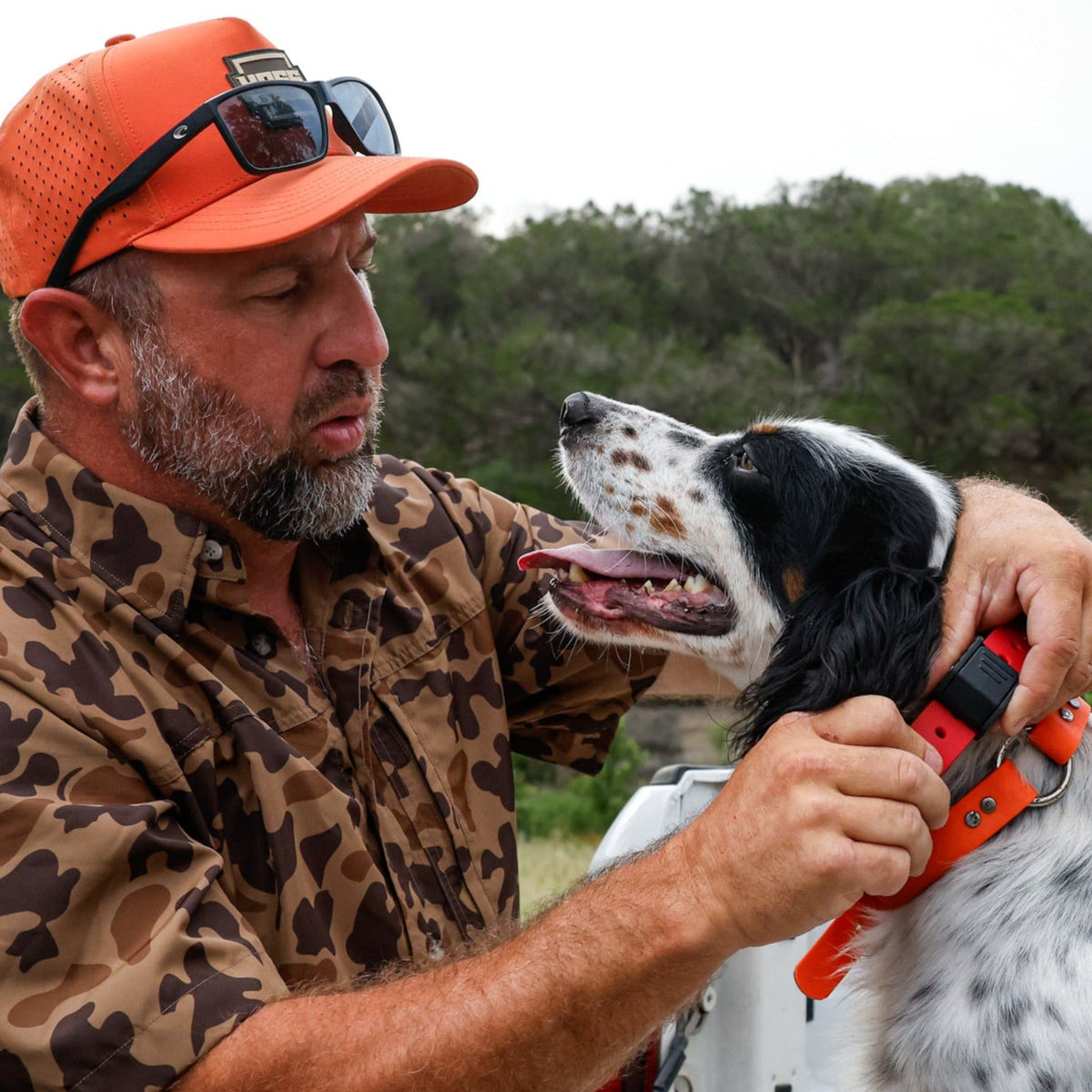 Handler adjusting an orange Hoss Pro Series collar on a dog