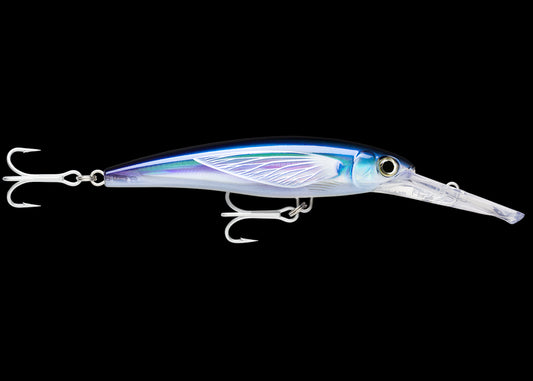 Rapala X-Rap Magnum 40 - Flying Fish