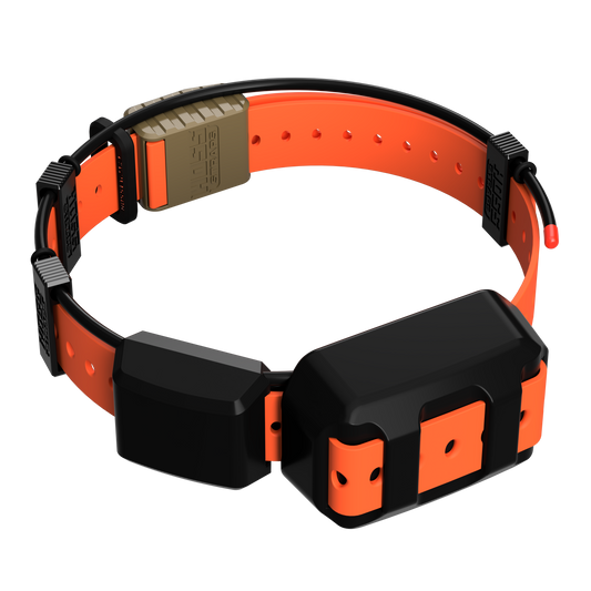 Hoss Straps Tracking Collar 1" Replacement Strap Kit - orange strap and black device example, product view