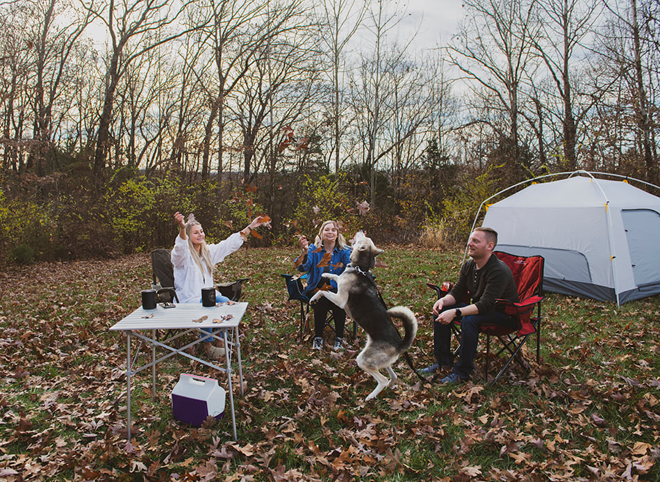ALPS Camp Table at a wooded campsite with campers, folding chairs and a dog