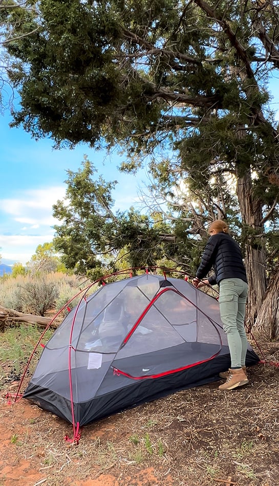 ALPS Helix mesh tent pitched beneath trees at a campsite