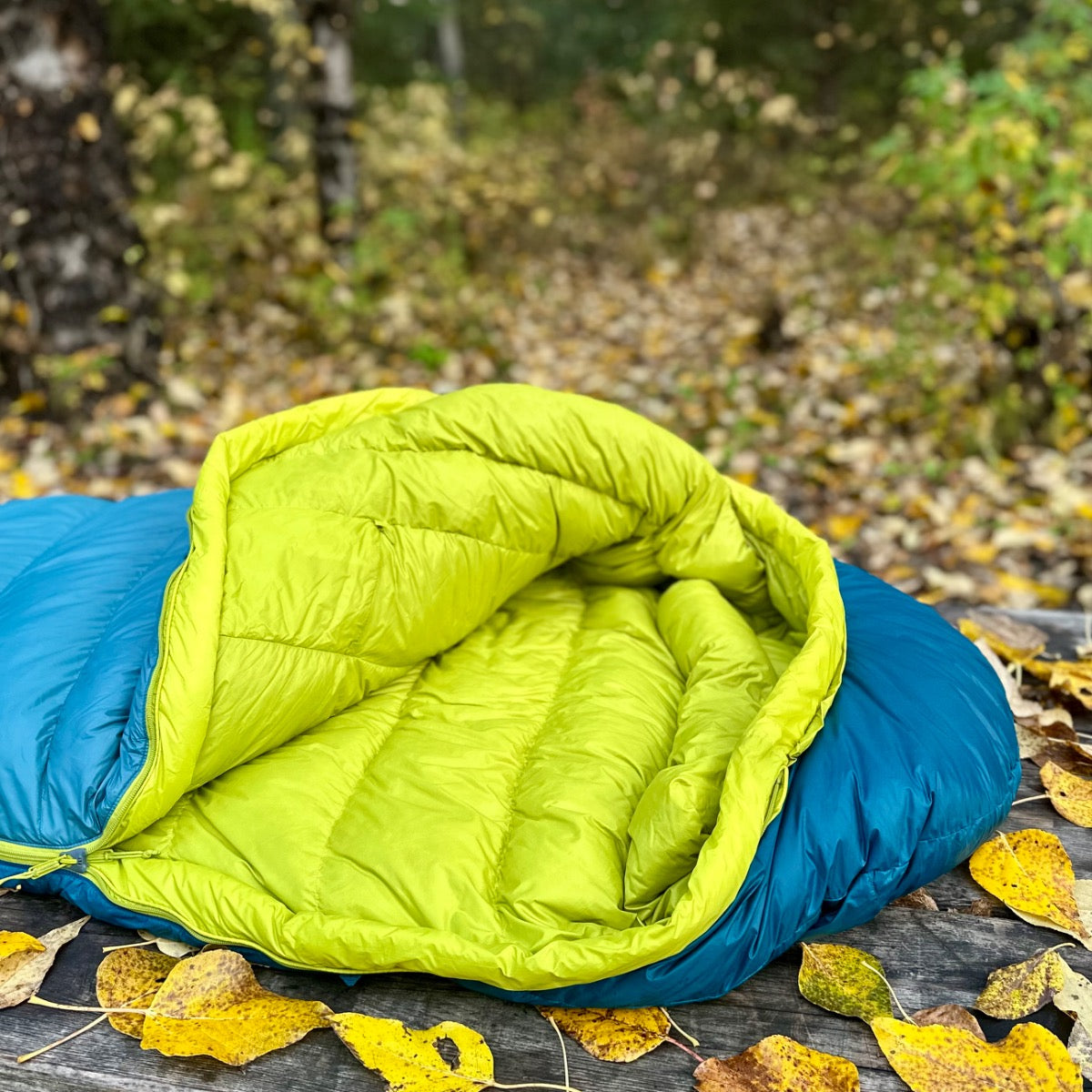 Close-up of the yellow hood lining inside the Peregrine Anatum sleeping bag