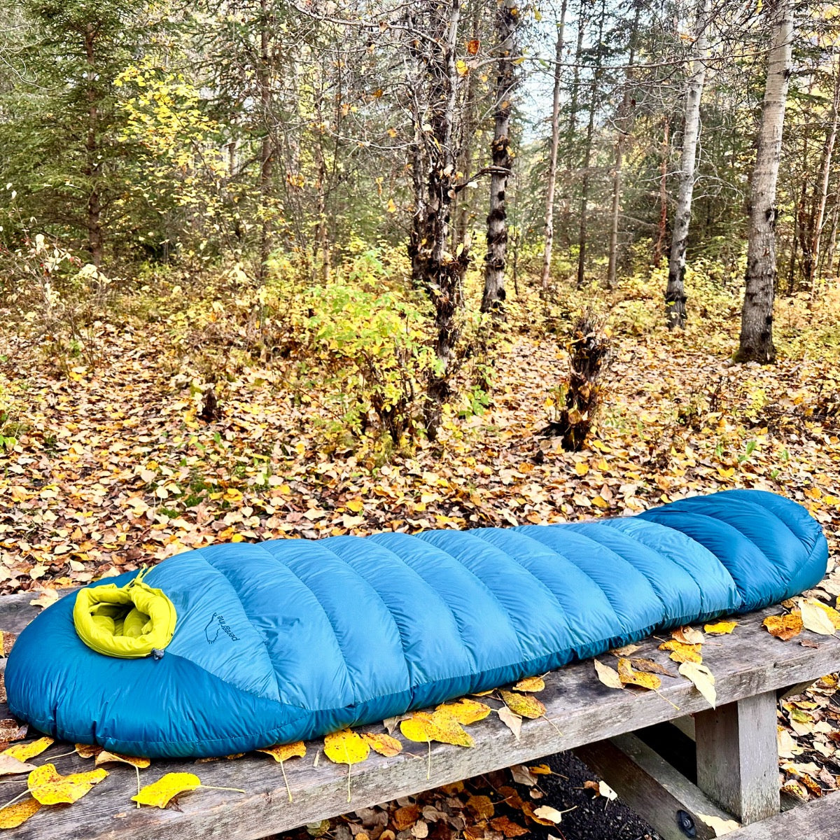 Full-length outdoor view of the Peregrine Anatum sleeping bag on a picnic table