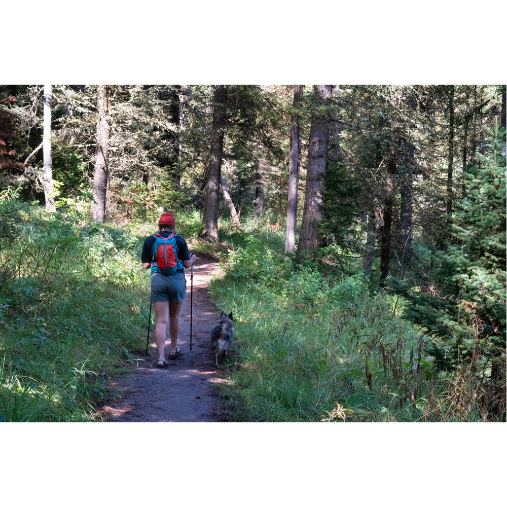 Rear view of a hiker using trekking poles on a wooded trail