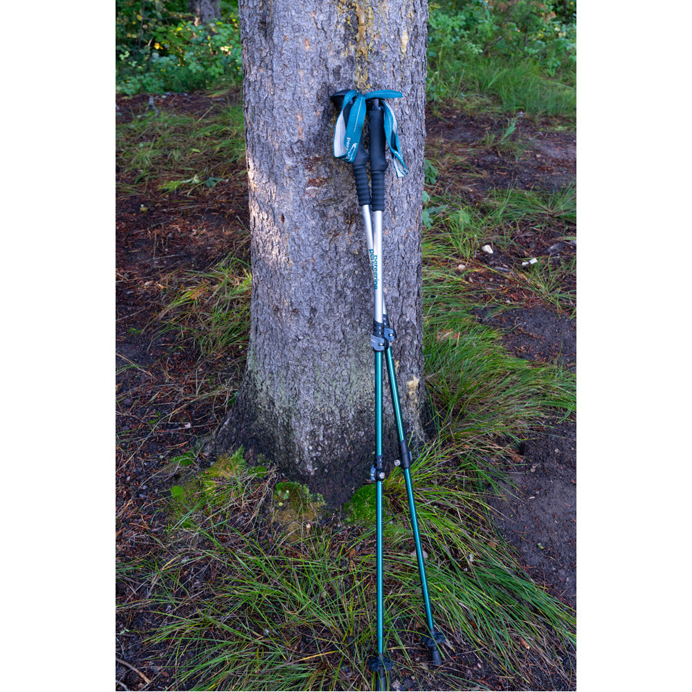 Peregrine Uinta Light Aluminum Telescoping Trekking Poles - Pair - official manufacturer image 7