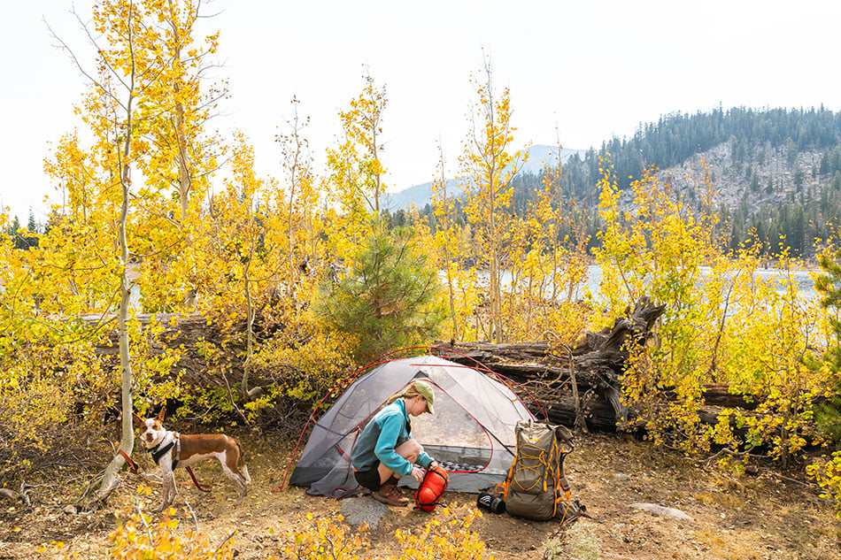 Camper and dog beside an ALPS Helix tent among autumn trees