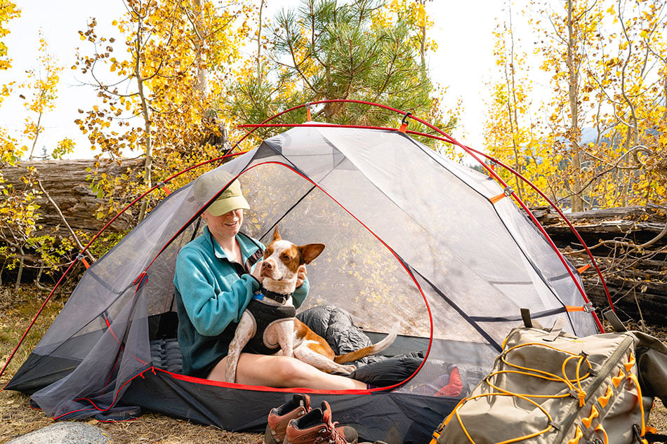 Camper holding a dog inside an ALPS Helix mesh tent